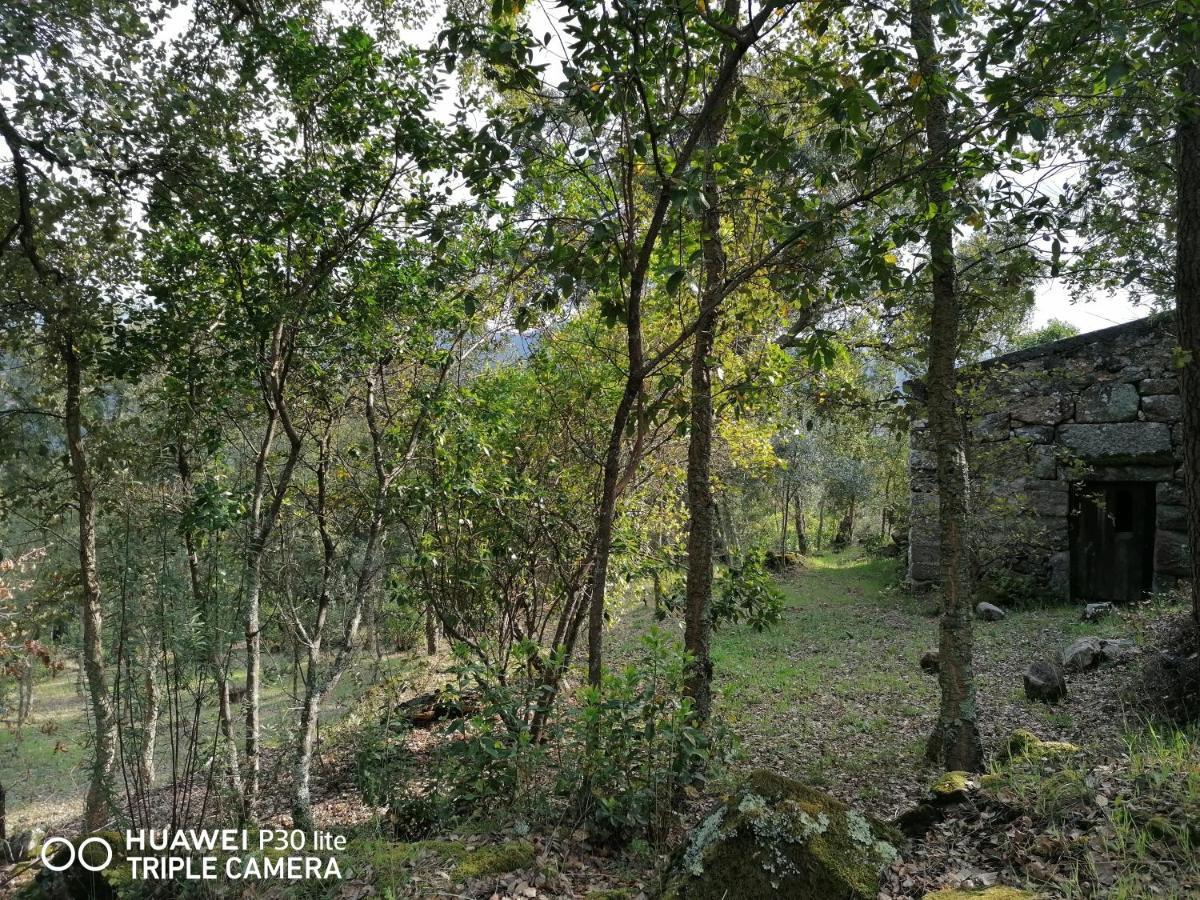 Villa Casa Douro Terrace Baião Exterior foto